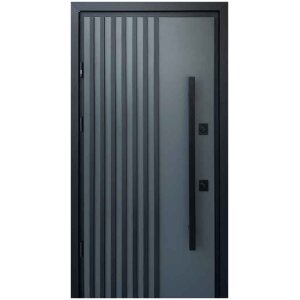 Вхідні двері Hardy Loft, Антрацит/гладка біла, Stability Hardy Страж