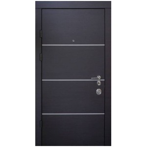 Вхідні двері авангард Горизонт AL 2 кольори Qdoors